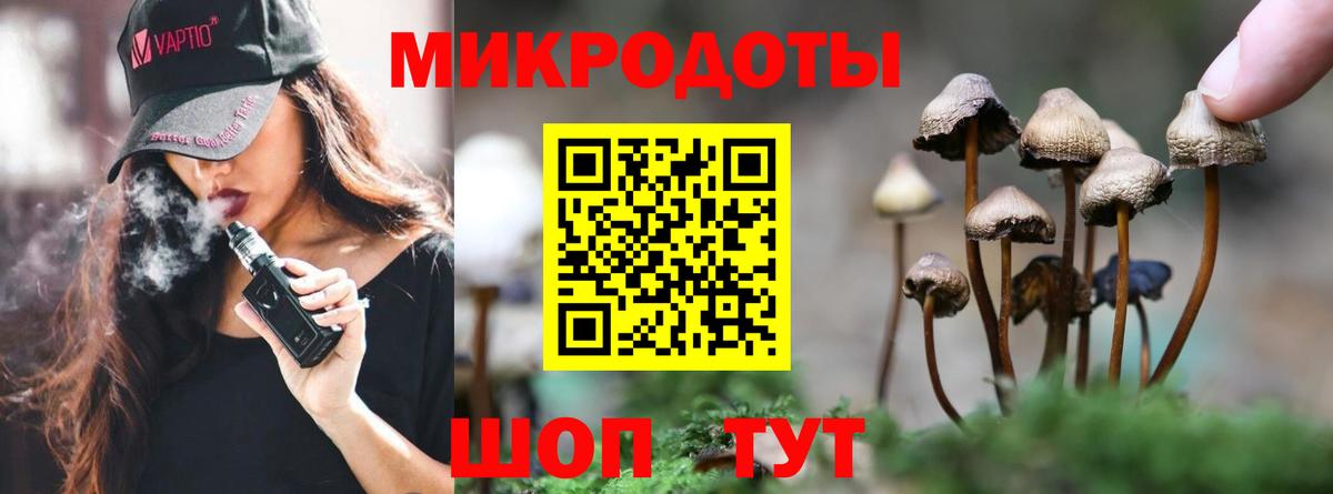Псилоцибиновые грибы MAGIC MUSHROOMS  Вход с VPN  Туапсе 